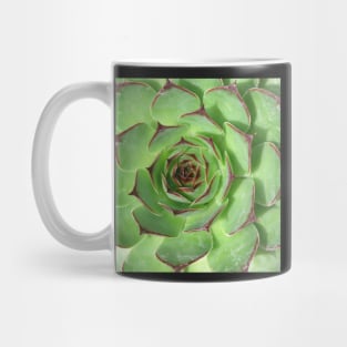 Plant print, Cactus print, Succulent, Scandinavian print, Trendy print, Styled, Pillow, Modern art, Wall art, Print, Minimalistic, Modern Mug